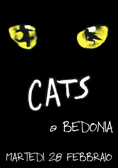 Cats! A Bedonia
