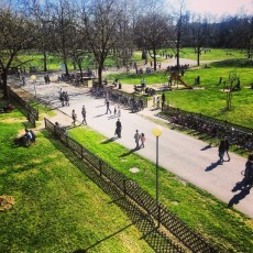 This is #Parma